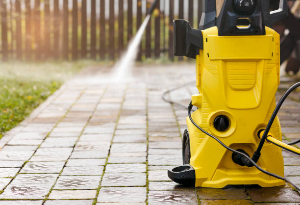 Animal Enclosure Cleaning in West Palm Beach, FL